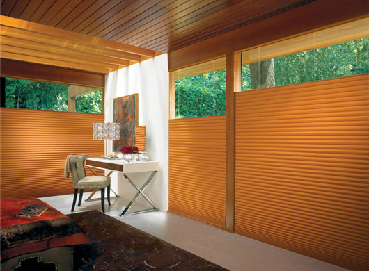 Duette Architella Honeycomb Shades